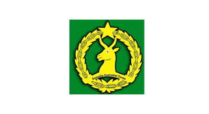 somali castonial